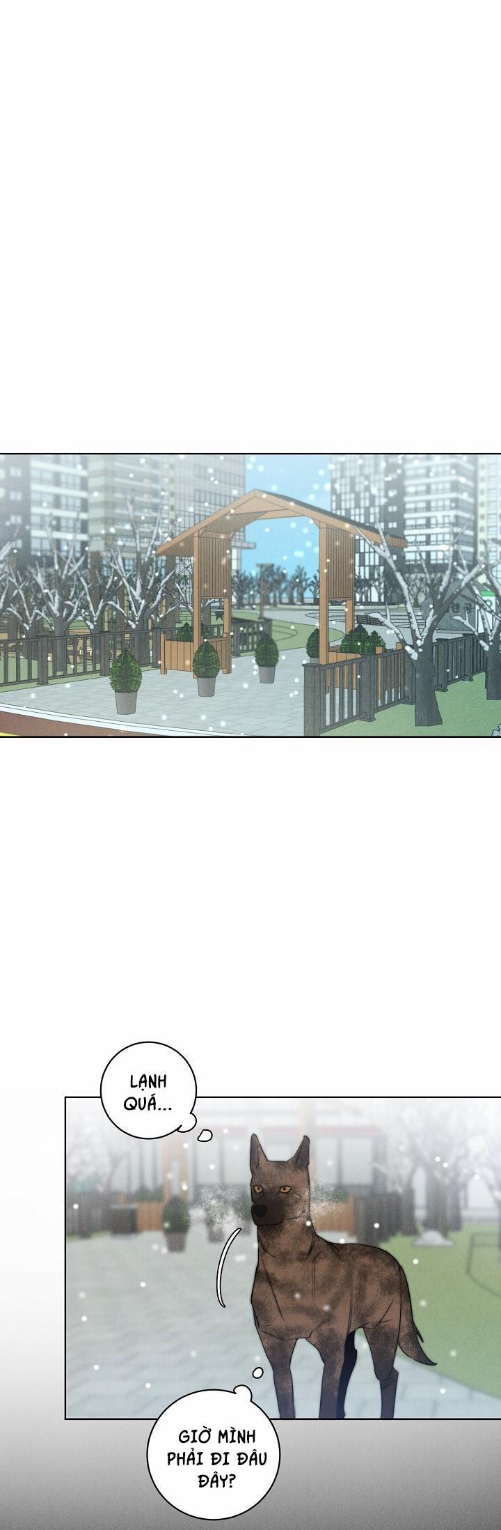 Wander off (Lang Thang) 11 trang 10