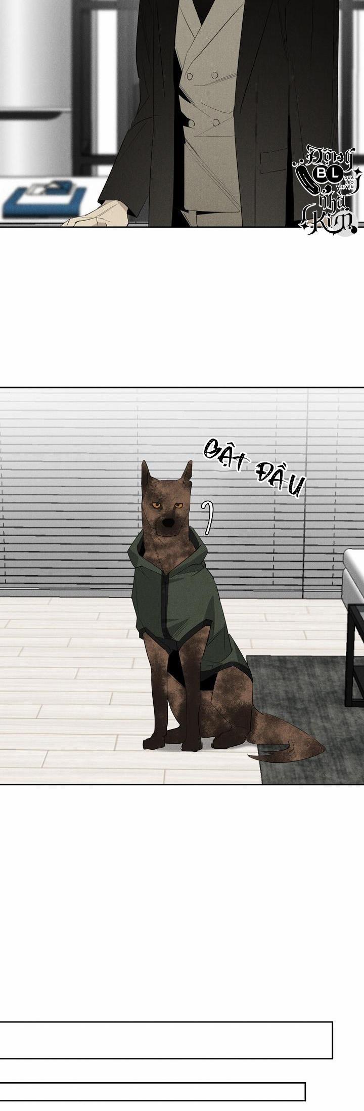 Wander off (Lang Thang) 13 end trang 8