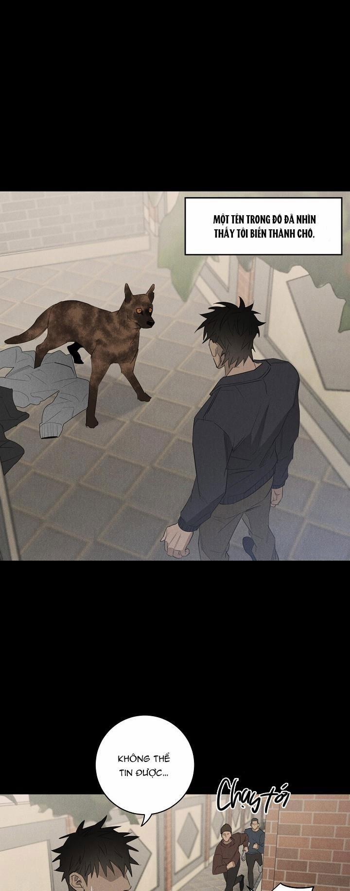 Wander off (Lang Thang) 8 trang 0