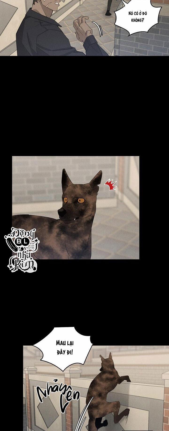 Wander off (Lang Thang) 8 trang 1