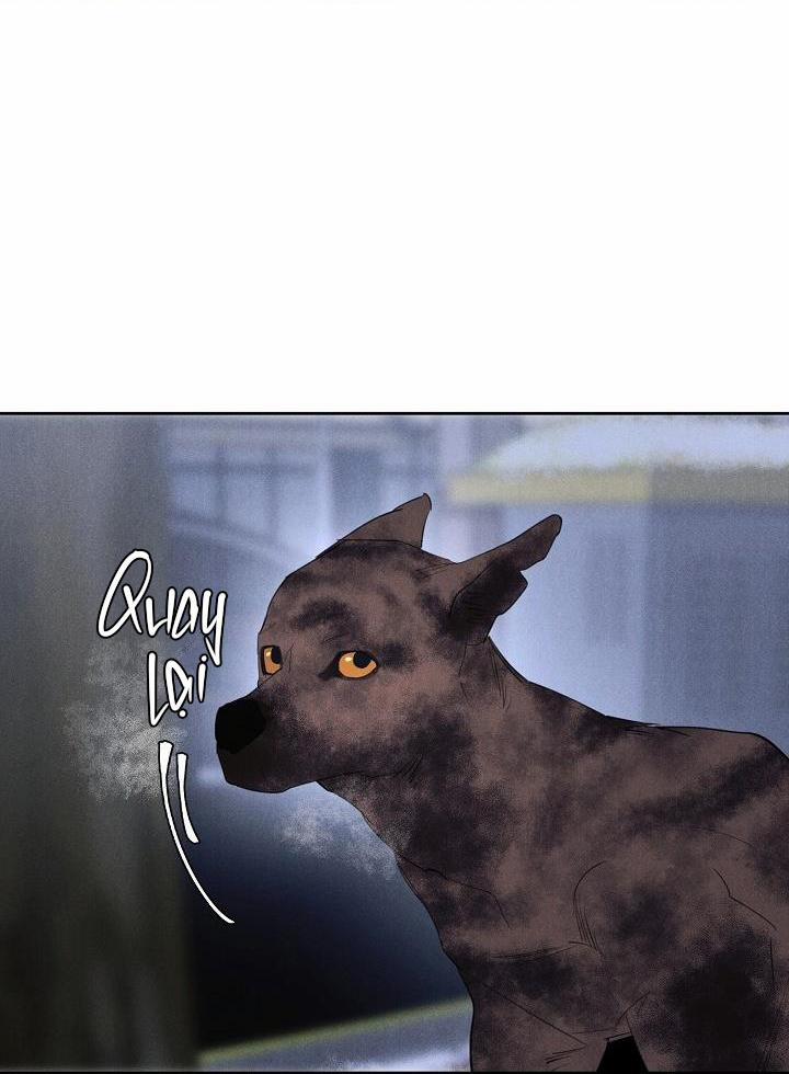 Wander off (Lang Thang) 9 trang 62