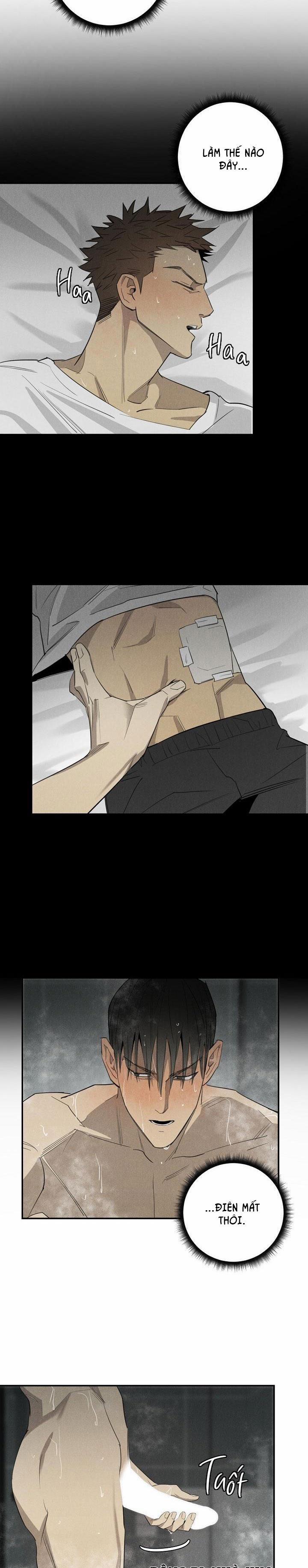 Wander Off 4 trang 1