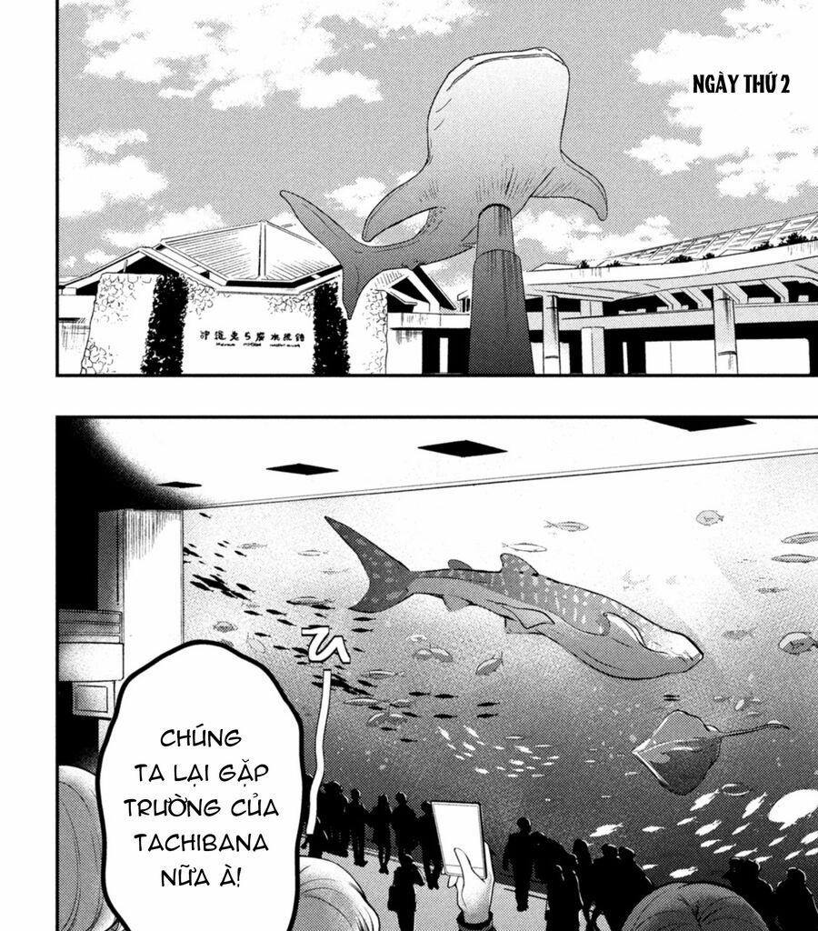 Watari-Kun No Xx Ga Houkai Sunzen 71.5 trang 12