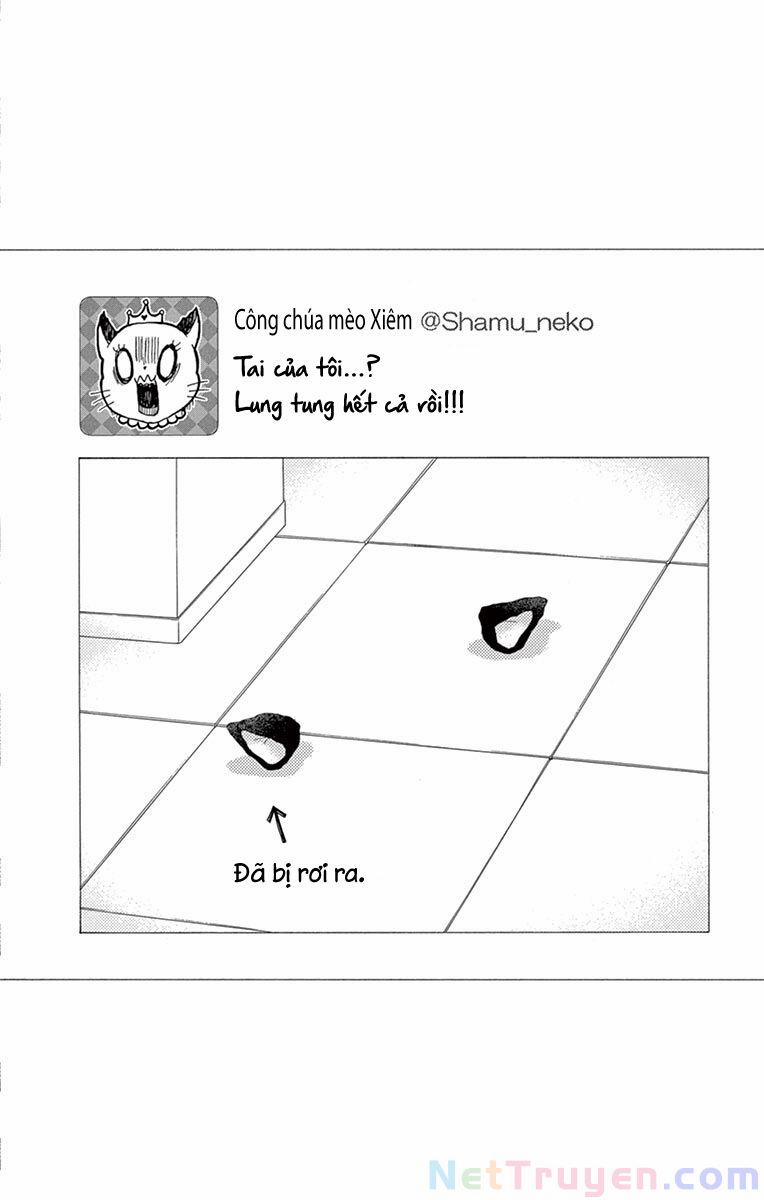 Watashi Wa Tensai O Katte Iru 12 trang 45