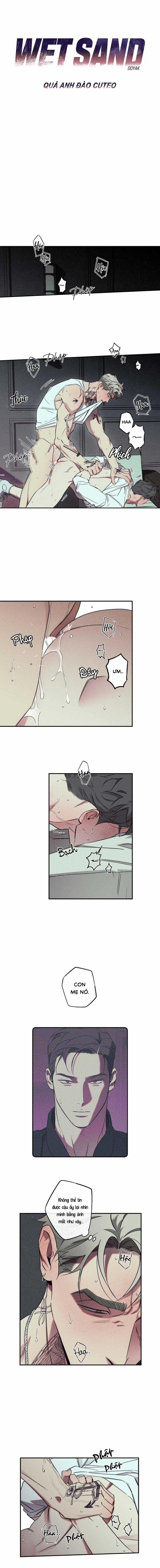 Wet Sand 26 trang 0
