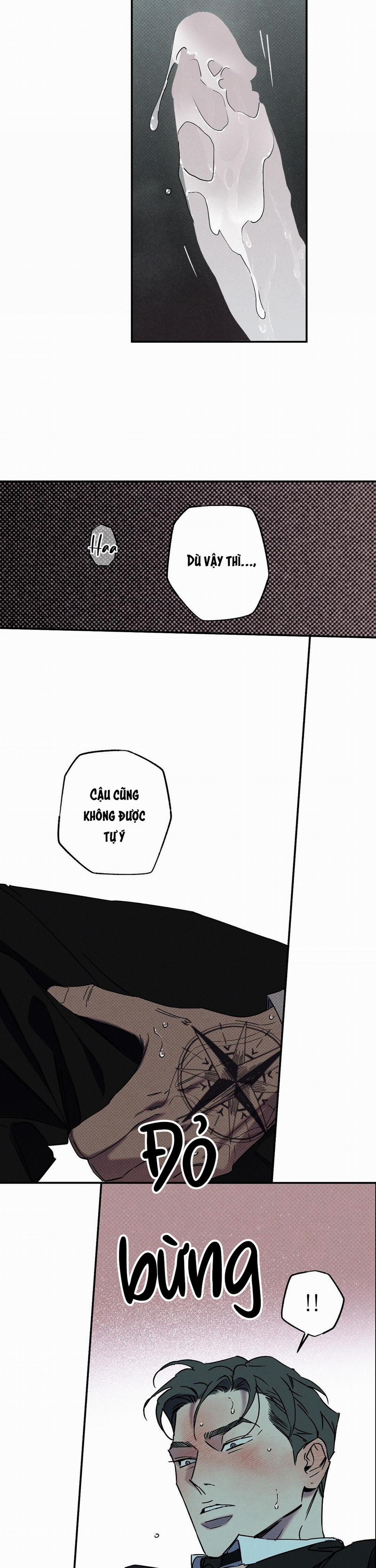 Wet Sand 43 trang 15