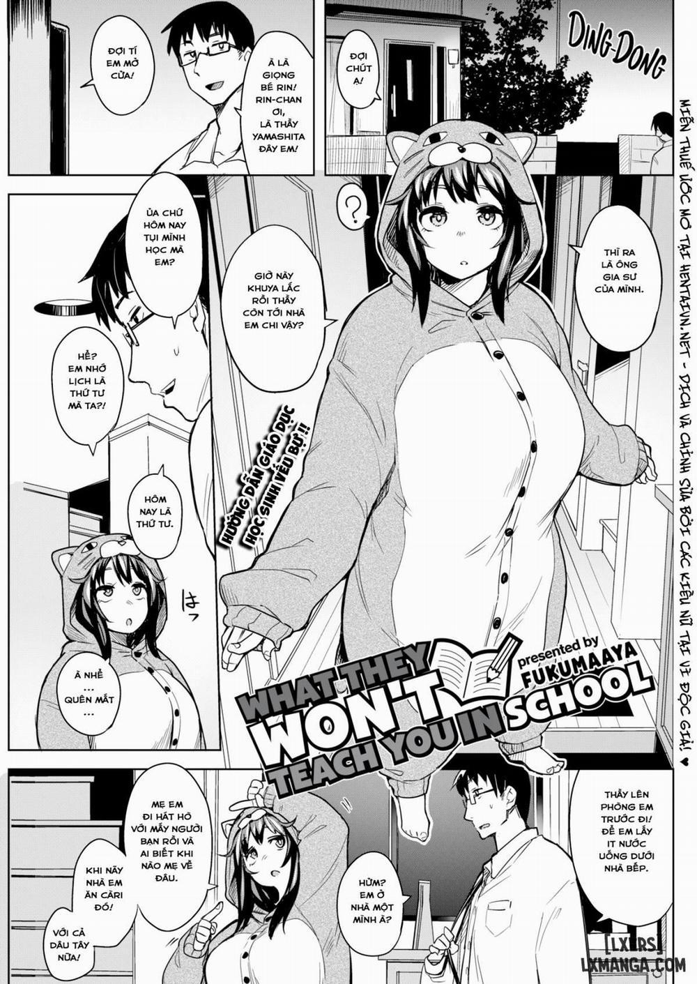 What They Don't Teach You in School 1 trang 0