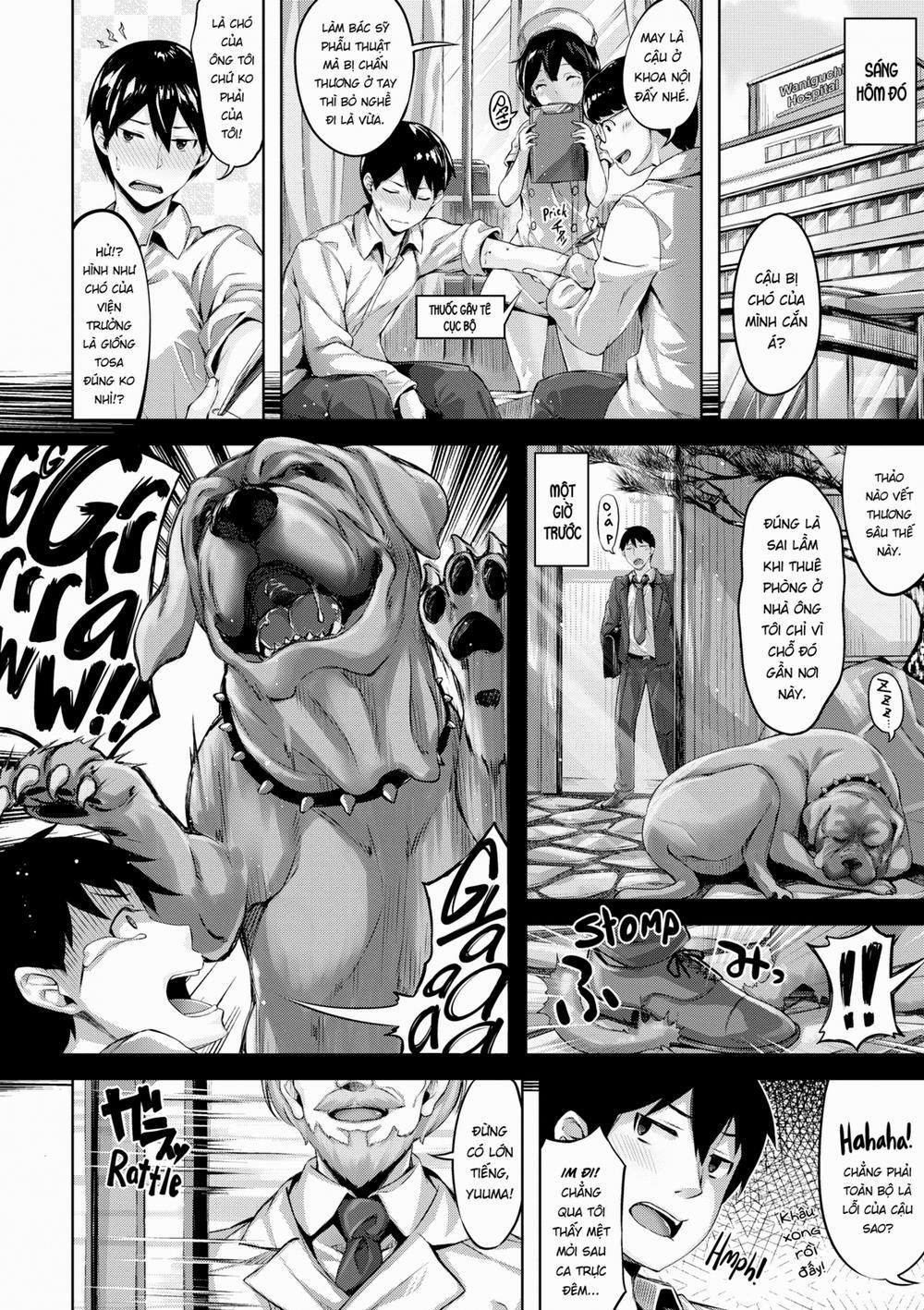 Whispers After Class 8 0 Black Doctor White Nurse trang 1