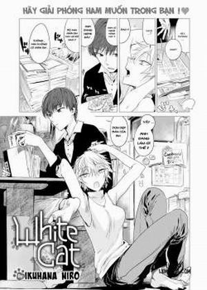 Đọc truyện tranh White Cat