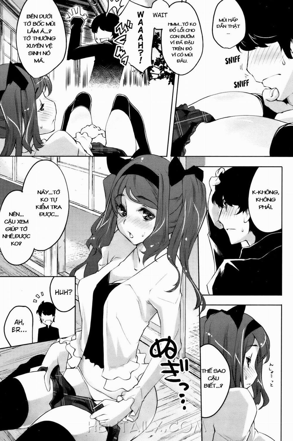 Who Does This Fragrant Sun Belong To Oneshot trang 2