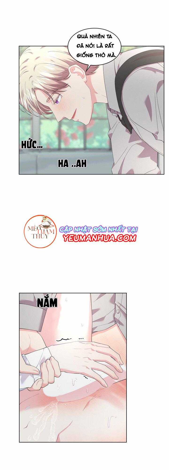 Who’s your daddy 15 trang 21