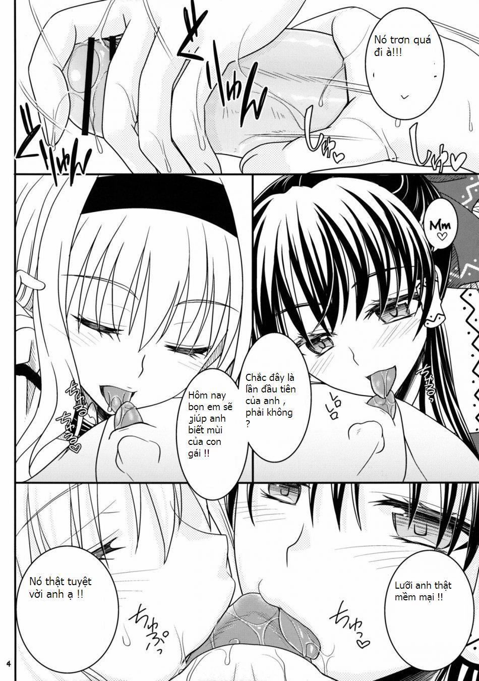 With Reimu And Alice... (Touhou Project) Oneshot trang 2