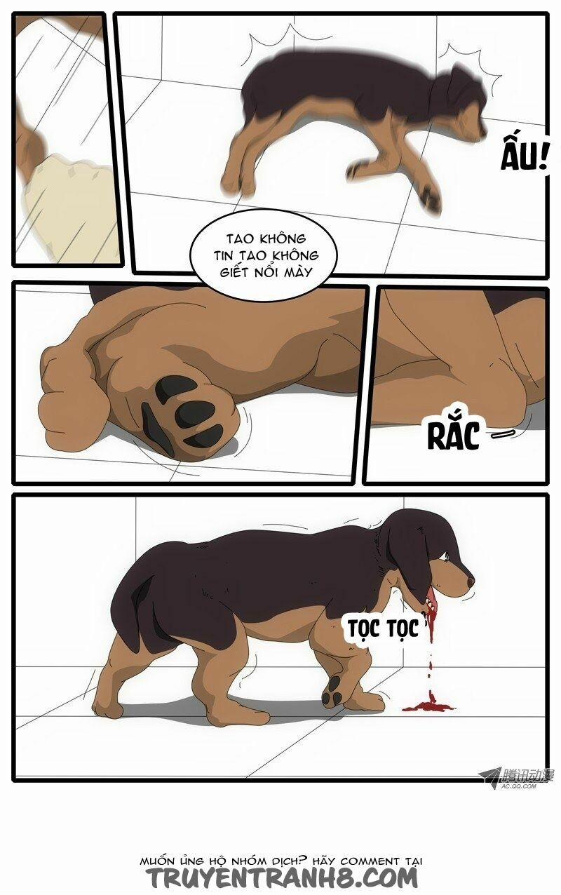 World Game 14 trang 5