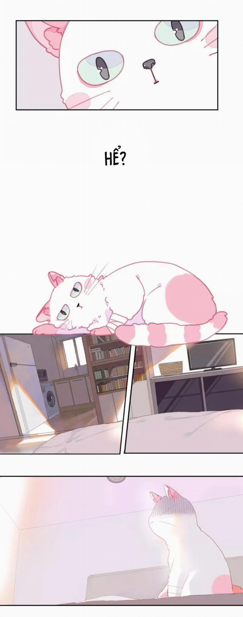 Xã Hội Mồn Lèo 1 trang 3