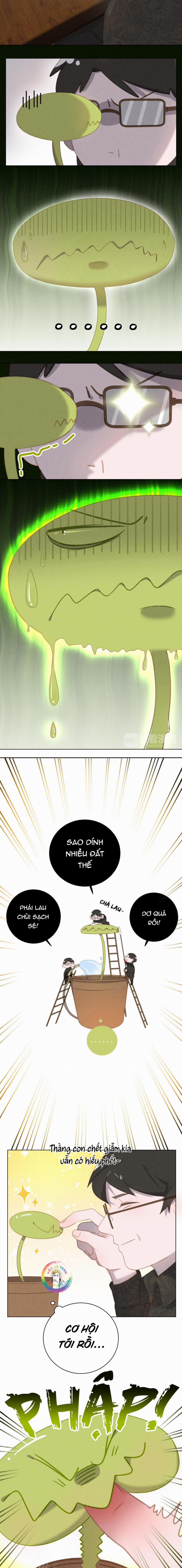 Xã Hội Mồn Lèo 24 trang 6