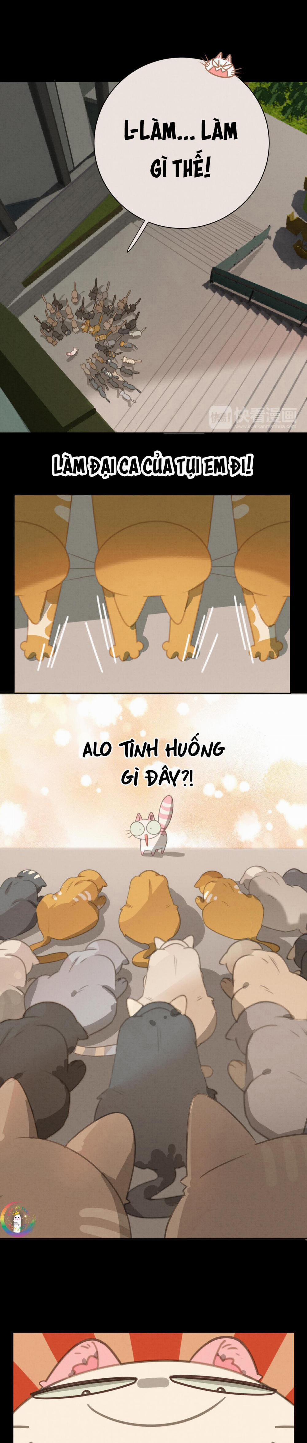 Xã Hội Mồn Lèo 27 trang 8