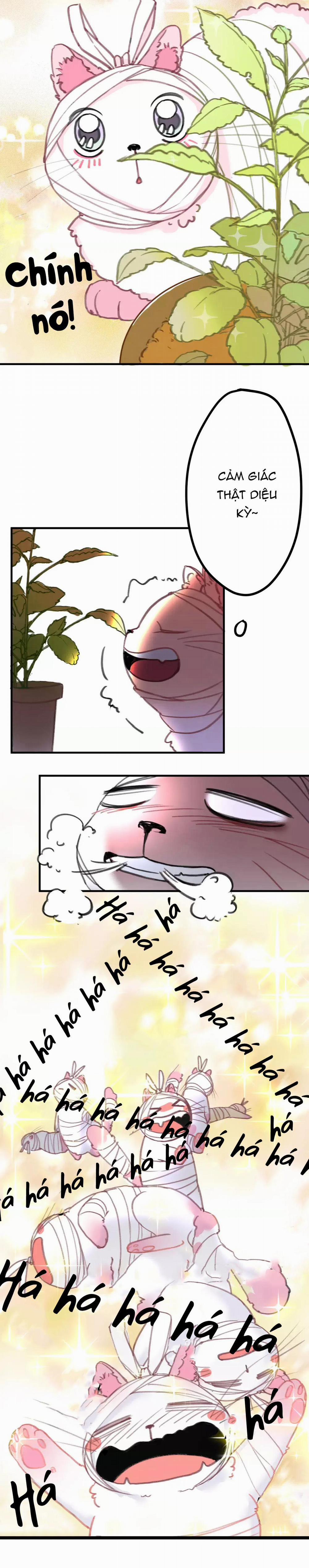 Xã Hội Mồn Lèo 3 trang 5