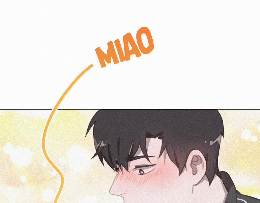 Xã Hội Mồn Lèo 34 trang 17