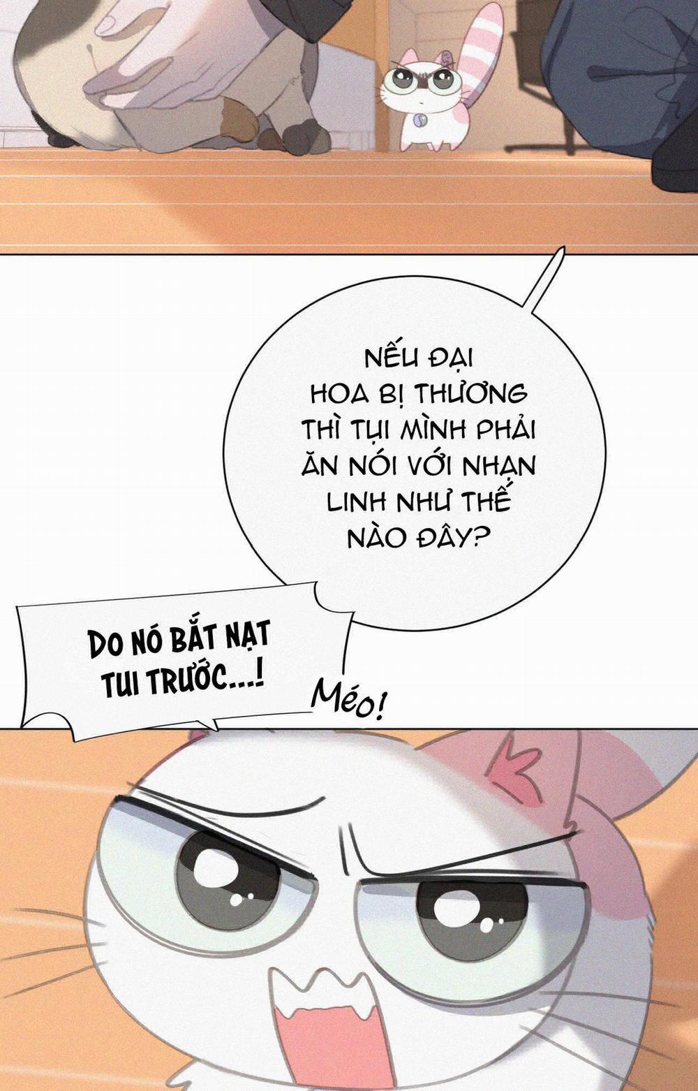 Xã Hội Mồn Lèo 34 trang 51