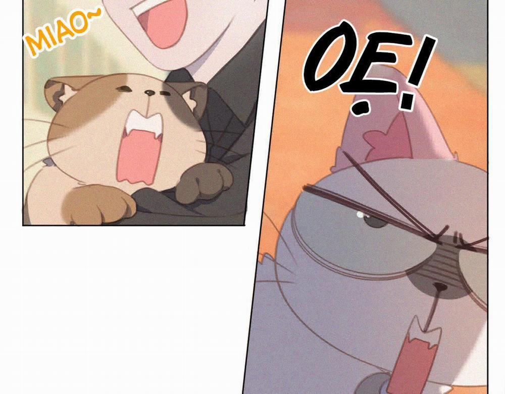 Xã Hội Mồn Lèo 34 trang 6