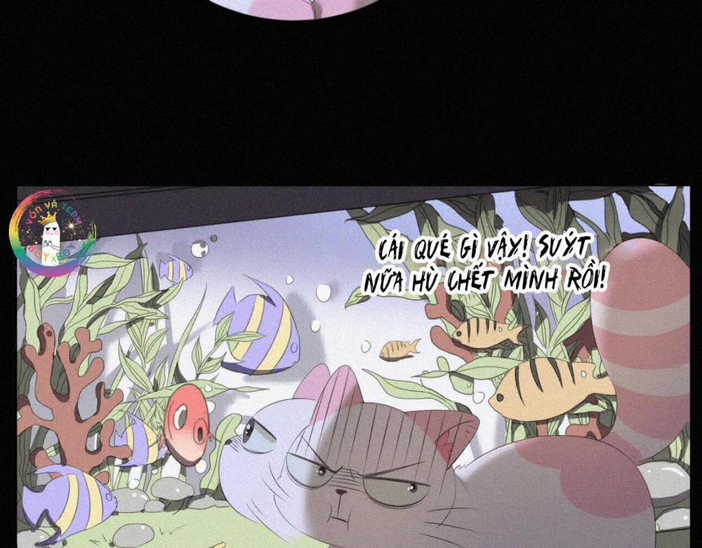 Xã Hội Mồn Lèo 36 trang 26