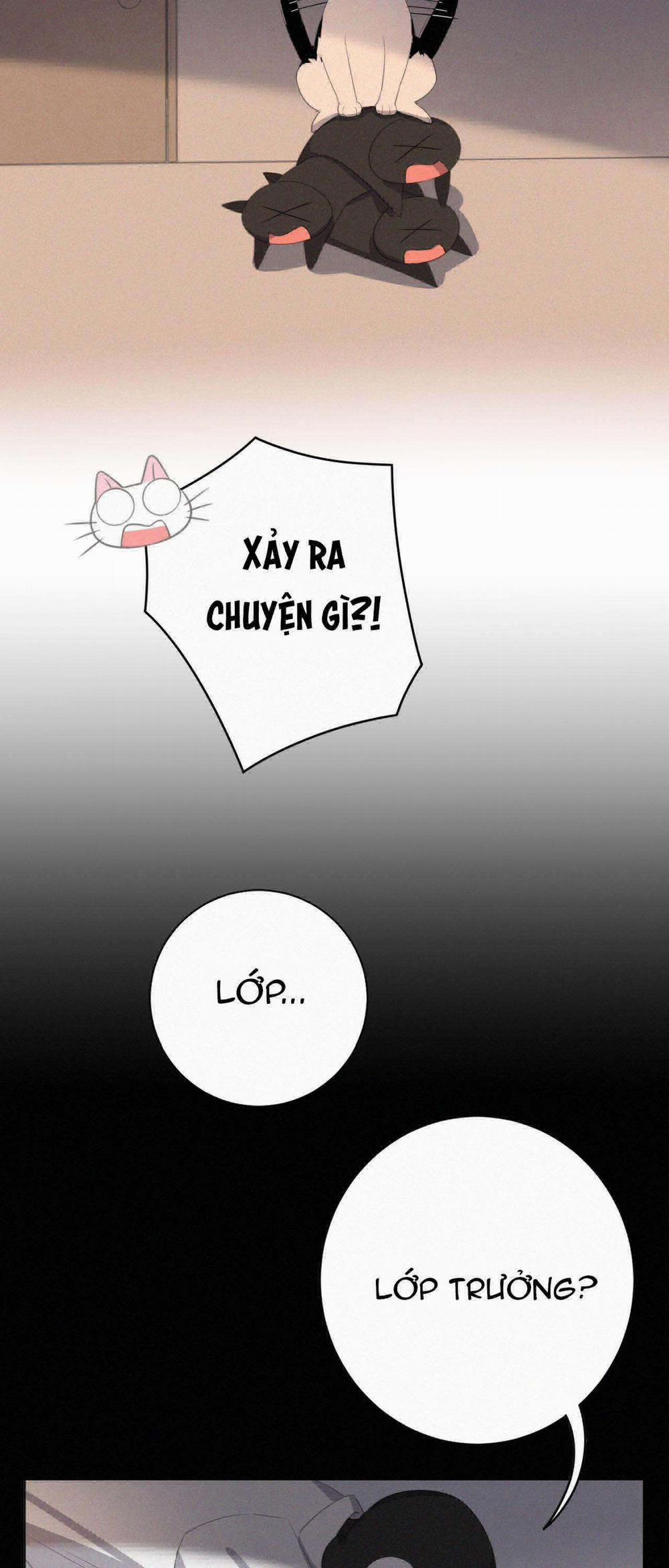 Xã Hội Mồn Lèo 38 trang 11