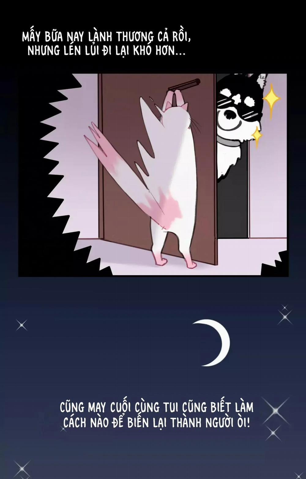 Xã Hội Mồn Lèo 6 trang 1