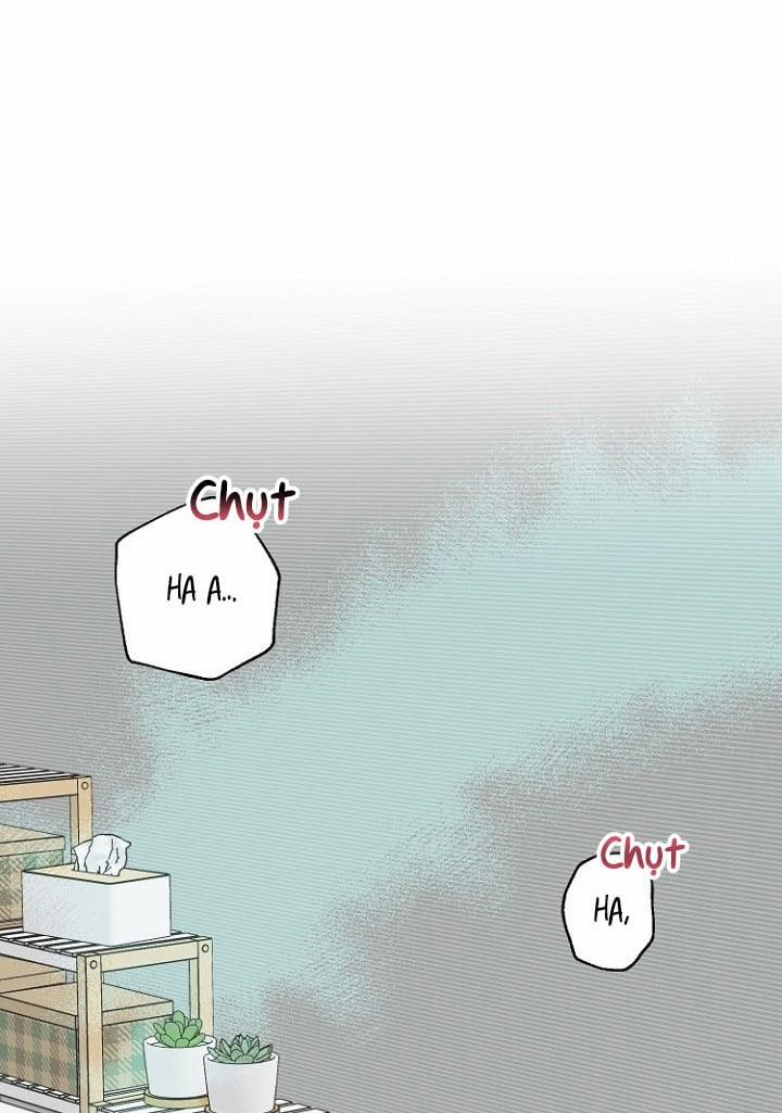 Xác Suất Tình Yêu 12 trang 23