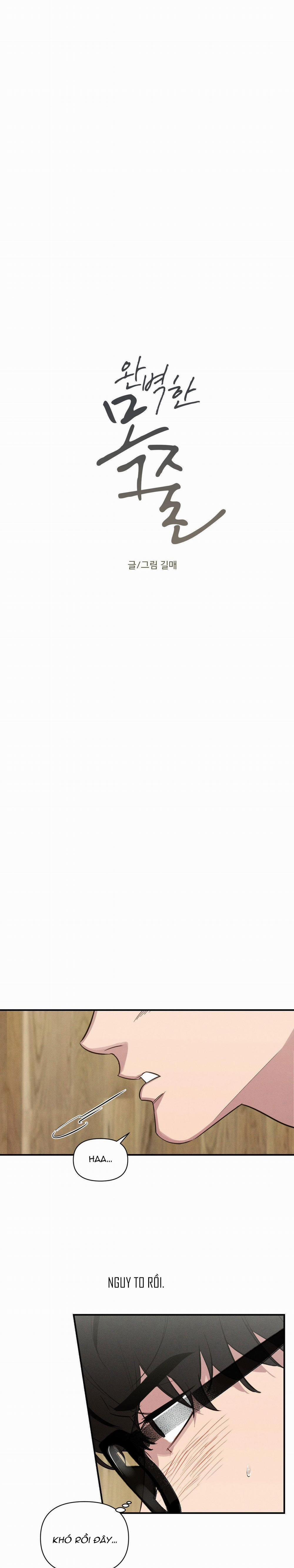 Xiềng Xích Hoàn Mỹ 11 XÍCH CỔ trang 0