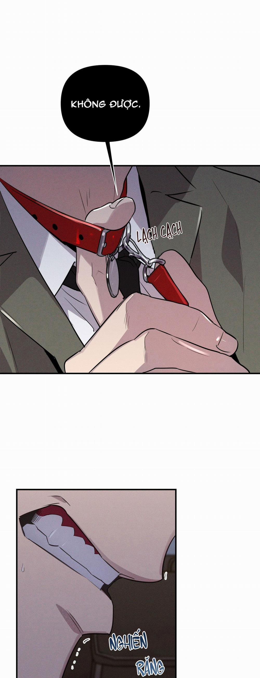 Xiềng Xích Hoàn Mỹ 12 sắp chjt trang 3