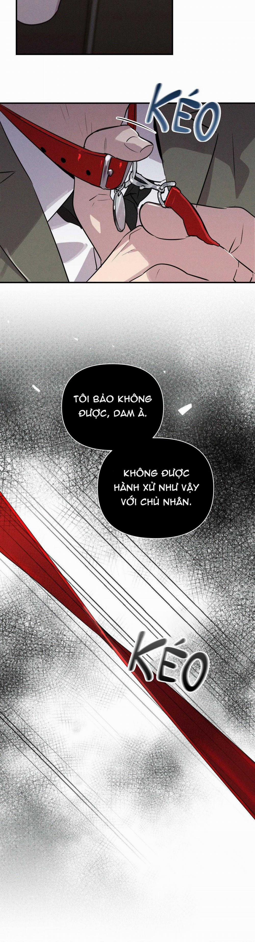 Xiềng Xích Hoàn Mỹ 12 trang 4