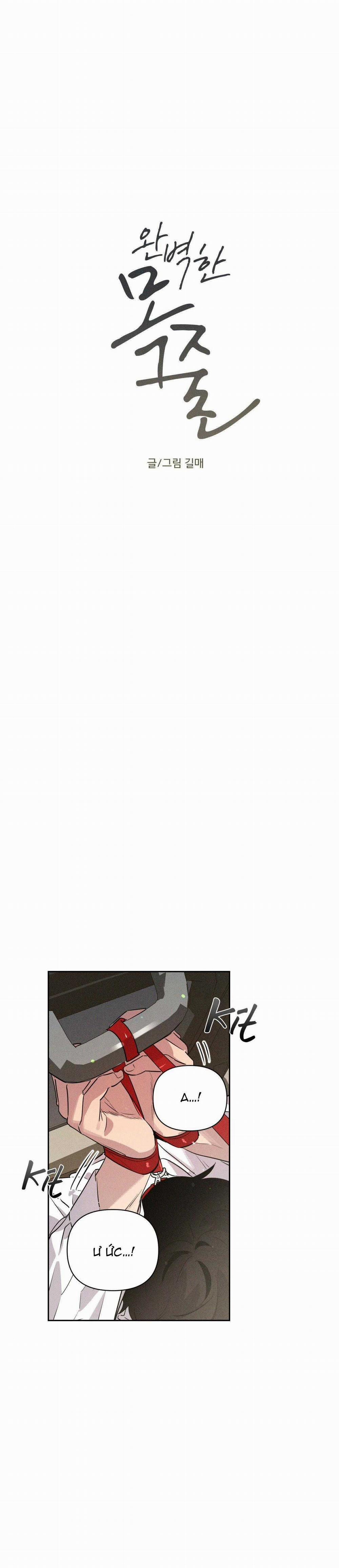 Xiềng Xích Hoàn Mỹ 12 trang 5