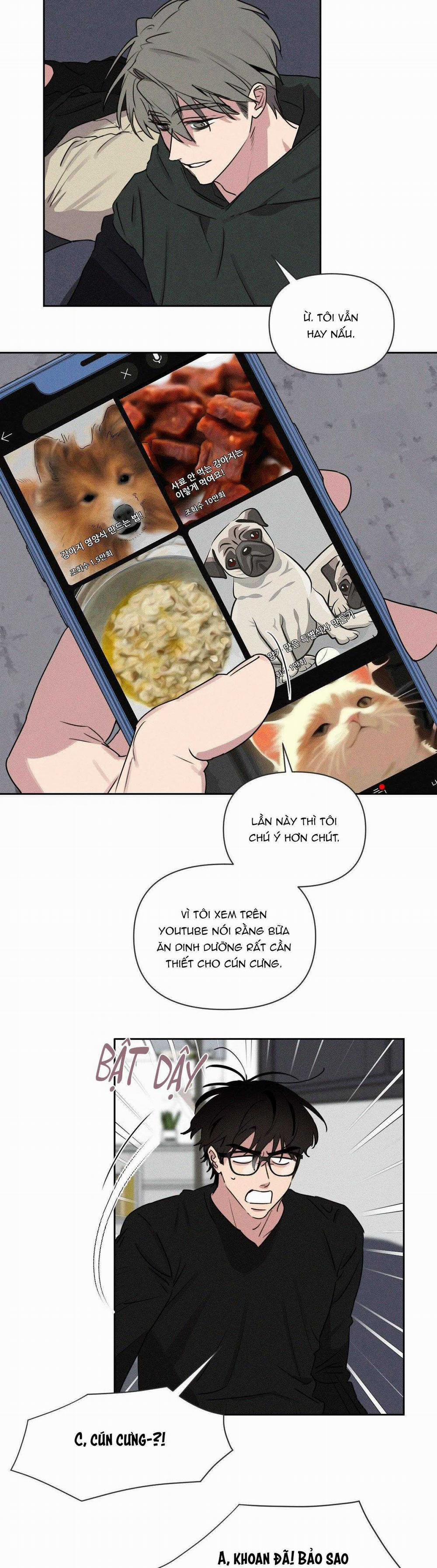 Xiềng Xích Hoàn Mỹ 21 trang 12