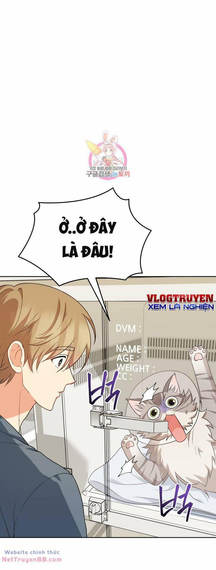 Xin Chào! Bác Sĩ Thú Y 15 trang 0