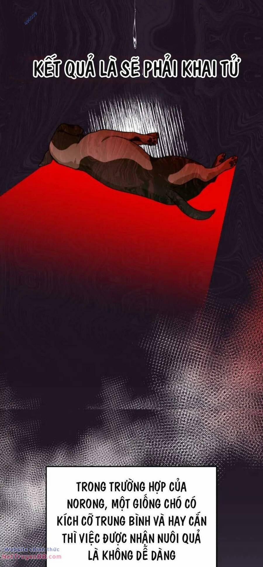 Xin Chào! Bác Sĩ Thú Y 17 trang 36