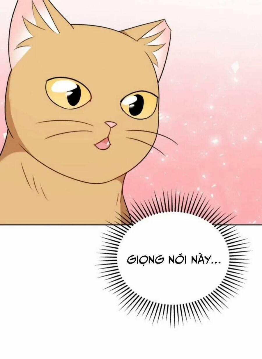 Xin Chào! Bác Sĩ Thú Y 21 trang 44