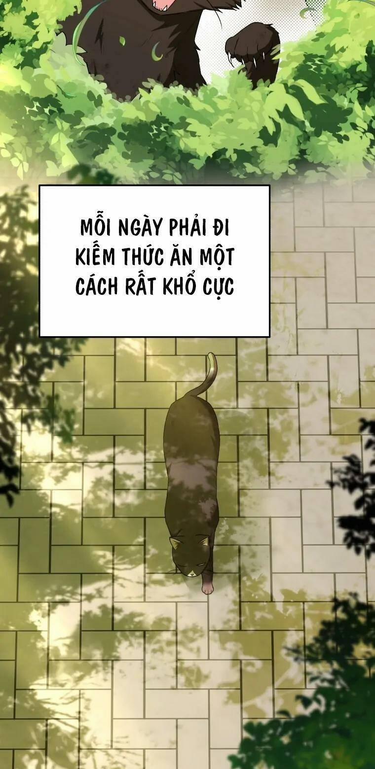 Xin Chào! Bác Sĩ Thú Y 27 trang 1