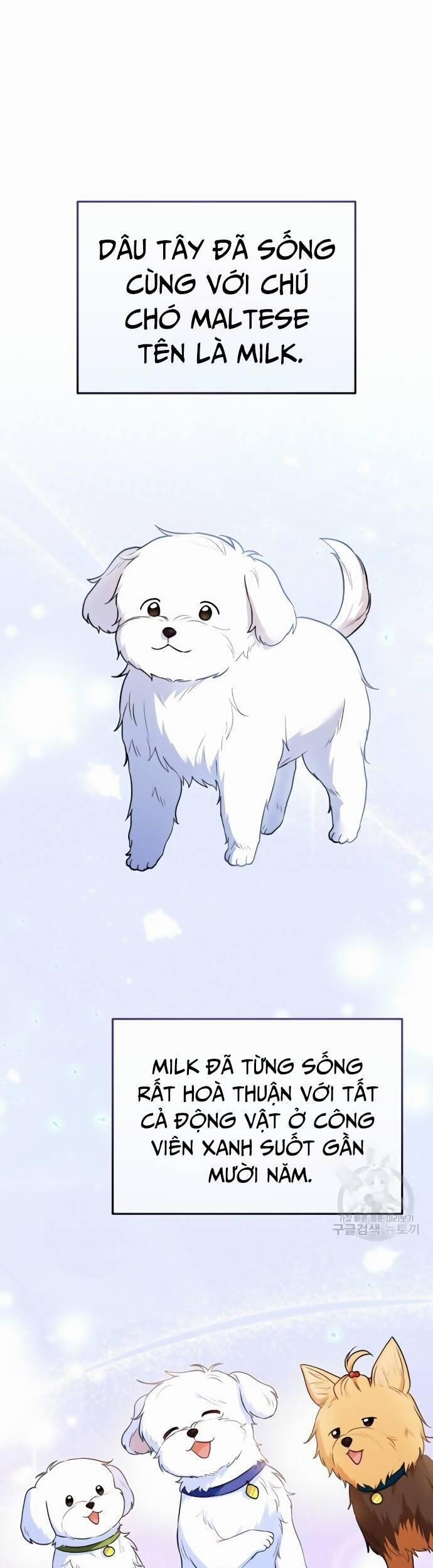 Xin Chào! Bác Sĩ Thú Y 32 trang 1