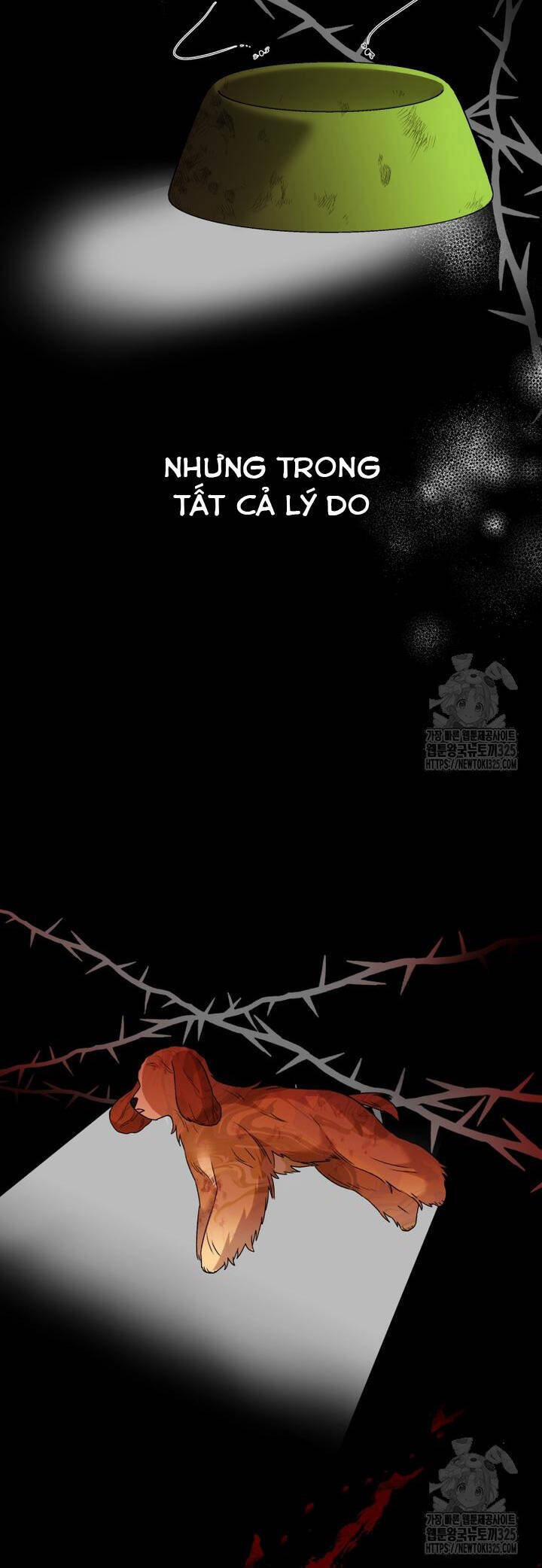 Xin Chào! Bác Sĩ Thú Y 43 trang 17