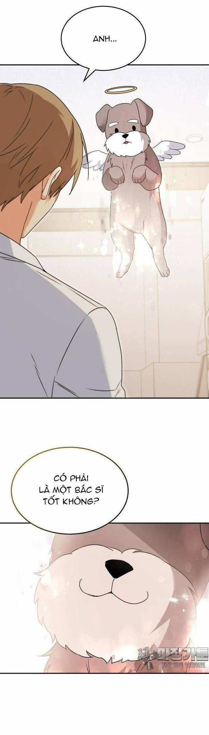 Xin Chào! Bác Sĩ Thú Y 49 trang 1