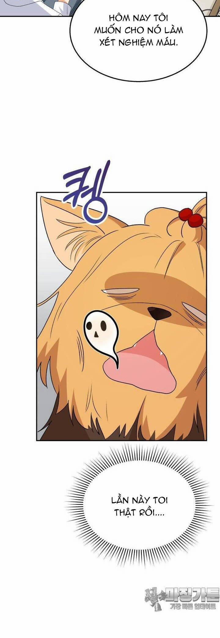 Xin Chào! Bác Sĩ Thú Y 50 trang 2