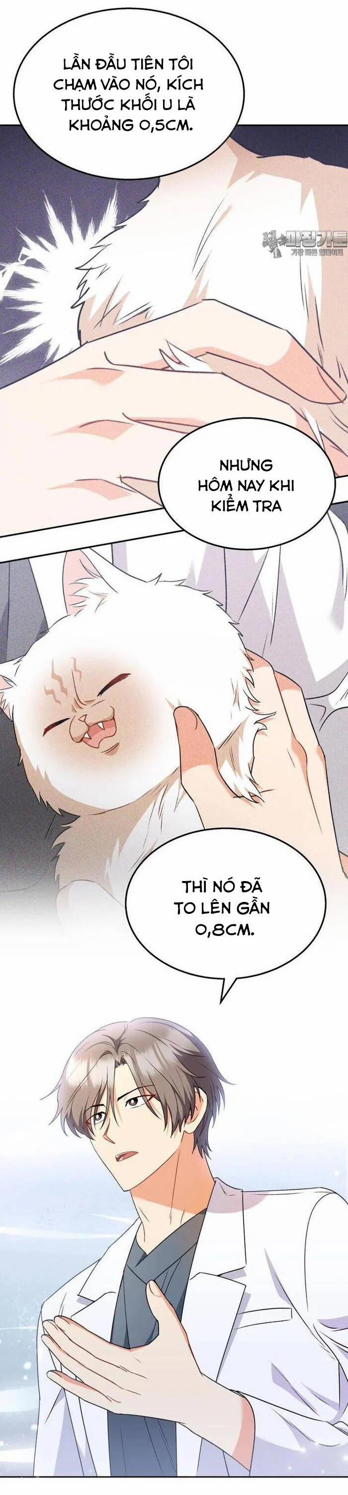 Xin Chào! Bác Sĩ Thú Y 54 trang 19