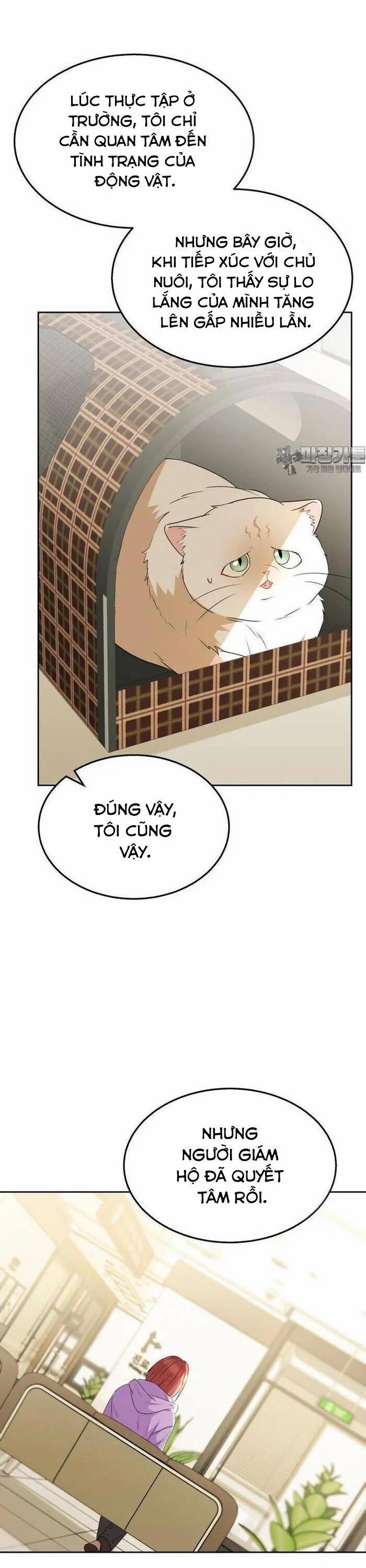 Xin Chào! Bác Sĩ Thú Y 54 trang 37