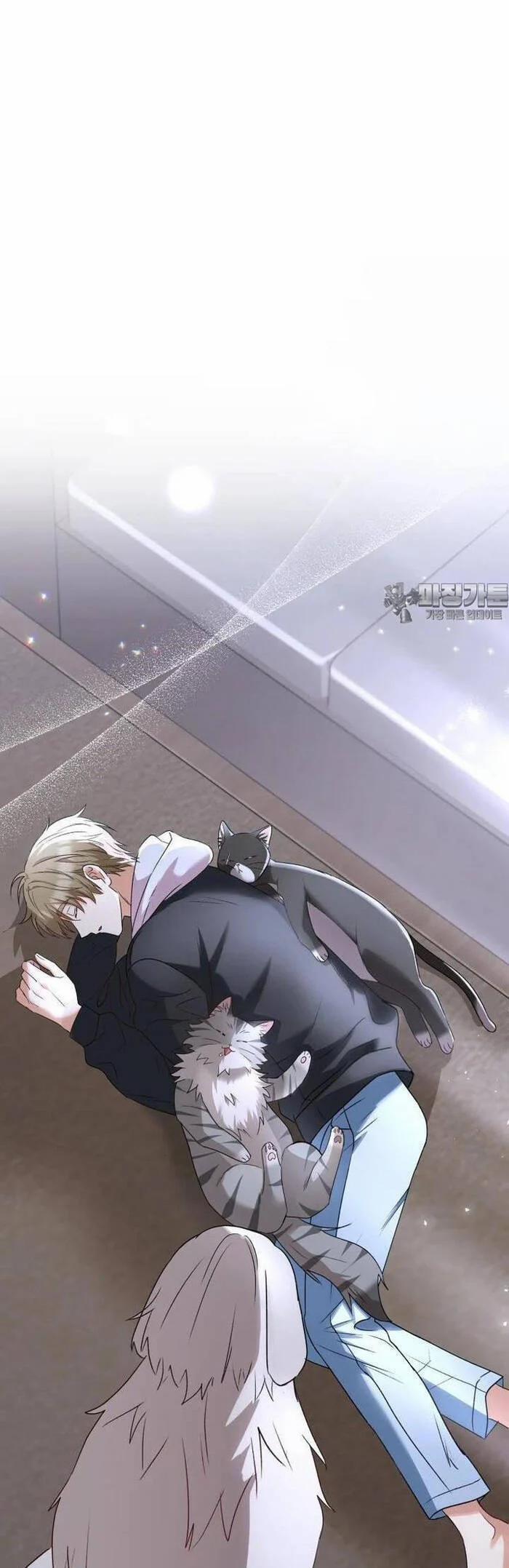 Xin Chào! Bác Sĩ Thú Y 56 trang 24