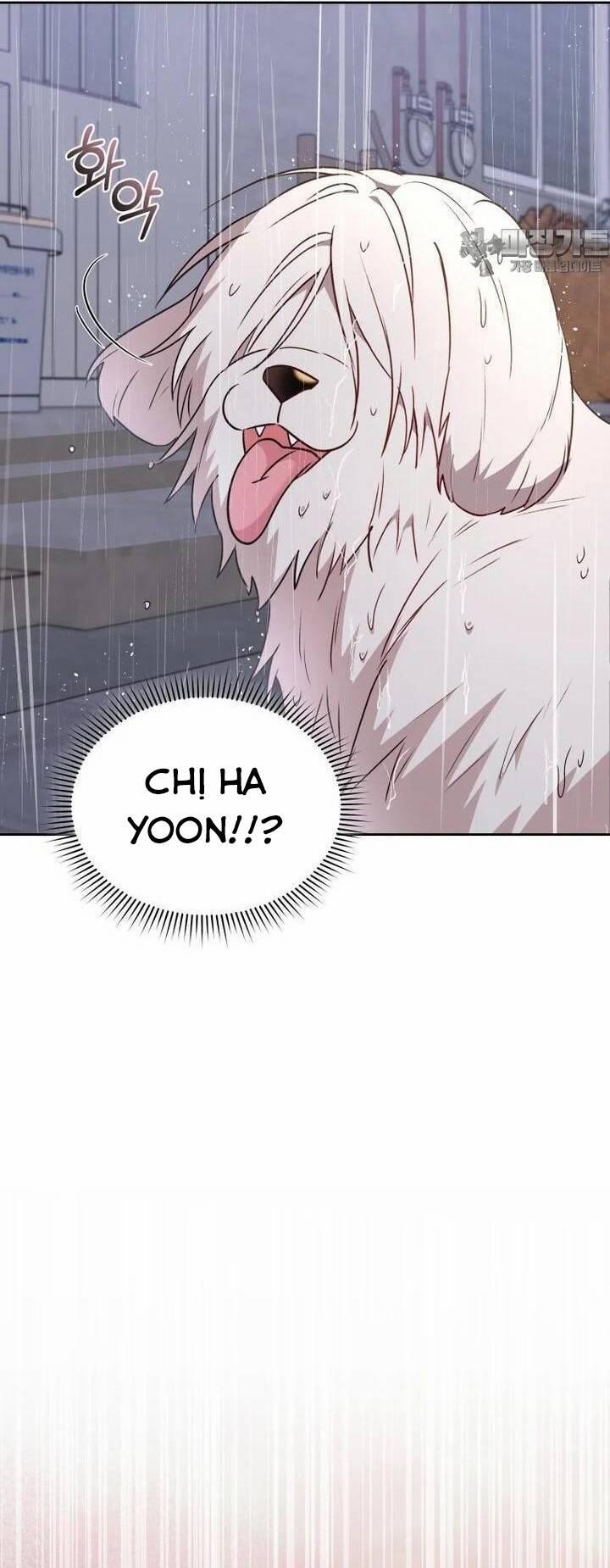 Xin Chào! Bác Sĩ Thú Y 57 trang 32