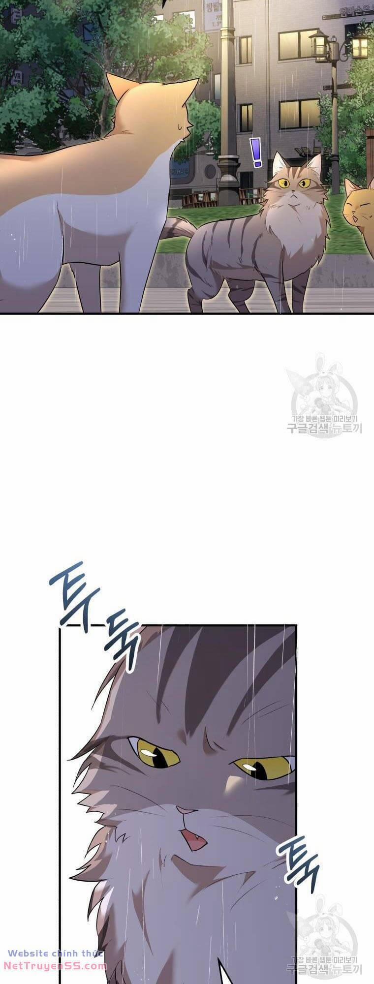 Xin Chào! Bác Sĩ Thú Y 6 trang 51