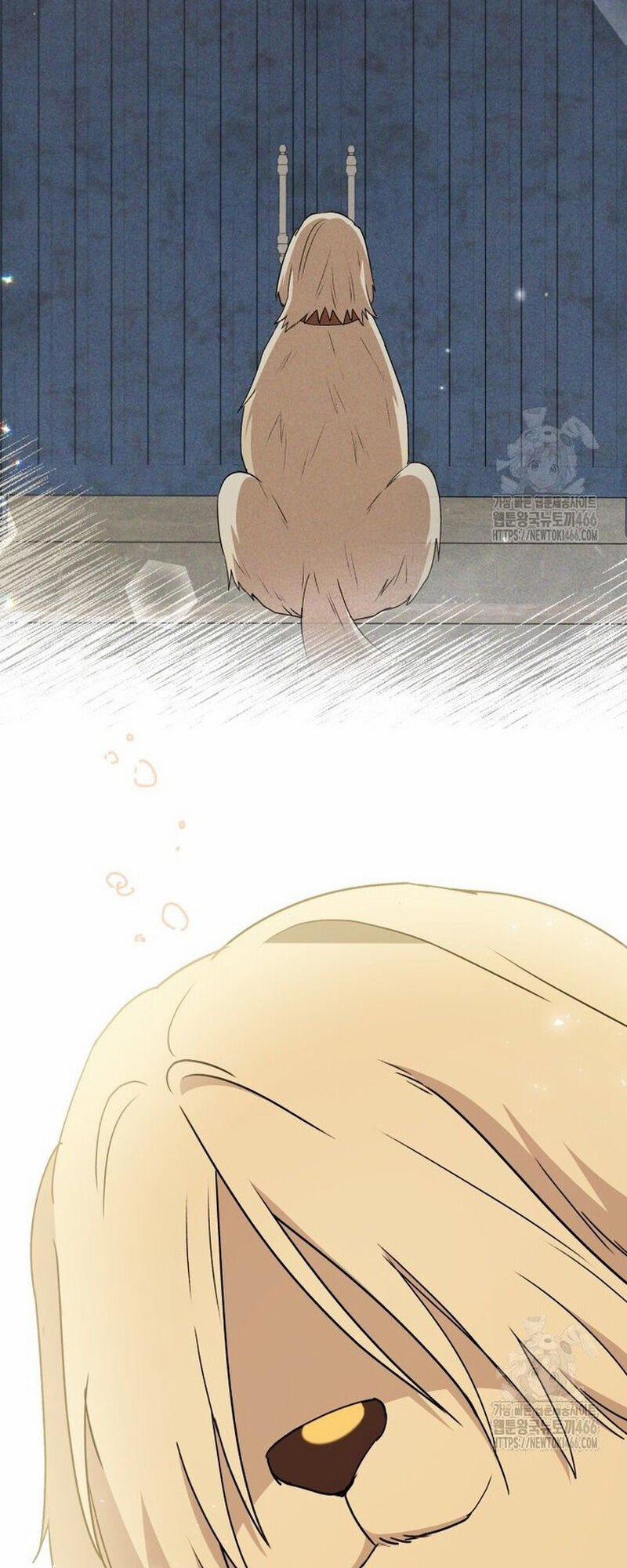 Xin Chào! Bác Sĩ Thú Y 77 trang 62