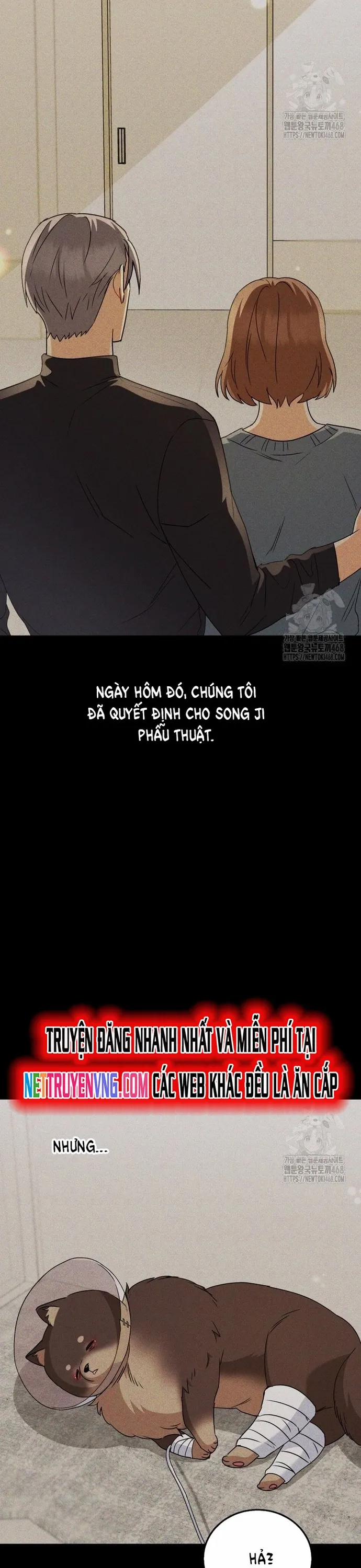 Xin Chào! Bác Sĩ Thú Y 87 trang 11