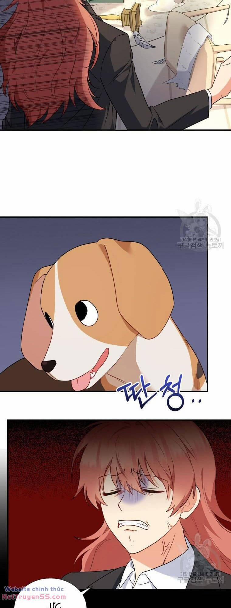 Xin Chào! Bác Sĩ Thú Y 9 trang 16