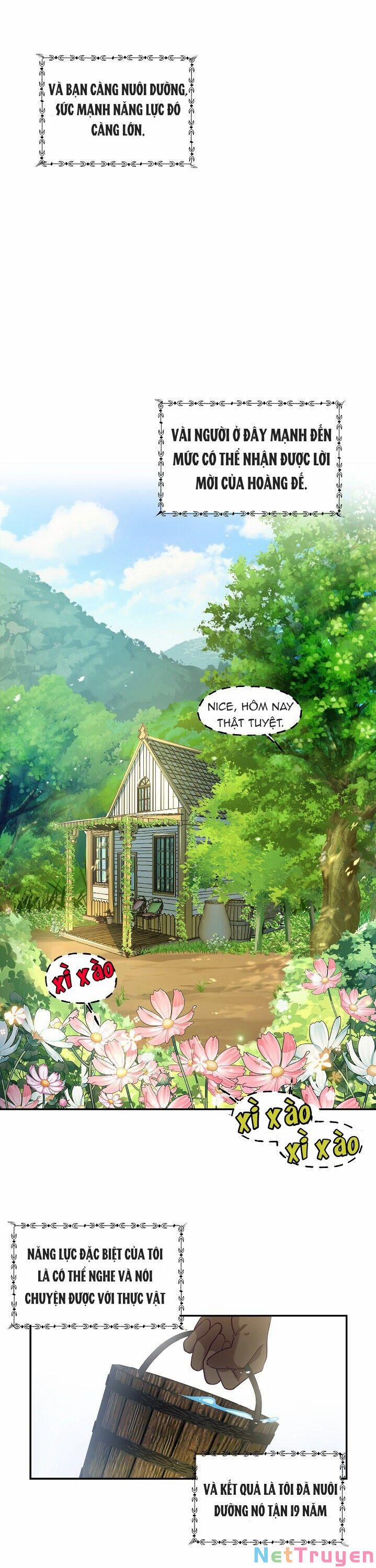 Xin Chào, Tôi Là Người Làm Vườn! 1 trang 17